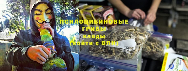 таблы Дмитриев