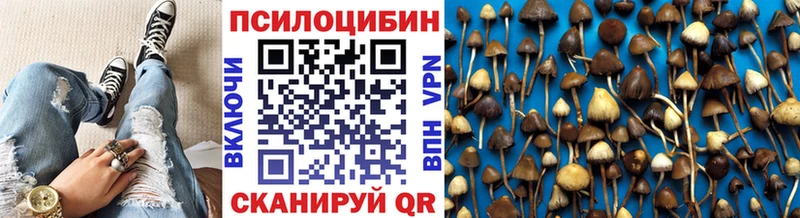 ОМГ ОМГ ссылка  darknet наркотические препараты  Псилоцибиновые грибы GOLDEN TEACHER  Задонск 